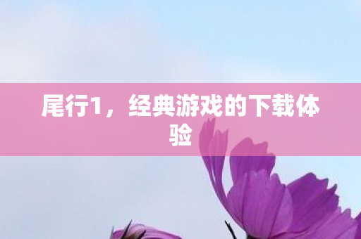 经典游戏的下载体验图片