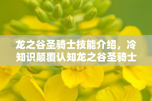 龙之谷圣骑士技能介绍,冷知识颠覆认知龙之谷圣骑士隐藏机制曝光!99%玩家目瞪口呆的自毁开关 龙之谷圣骑士技能介绍,冷知识颠覆认知龙之谷圣骑士隐藏机制曝光!99%玩家目瞪口呆的自毁开关