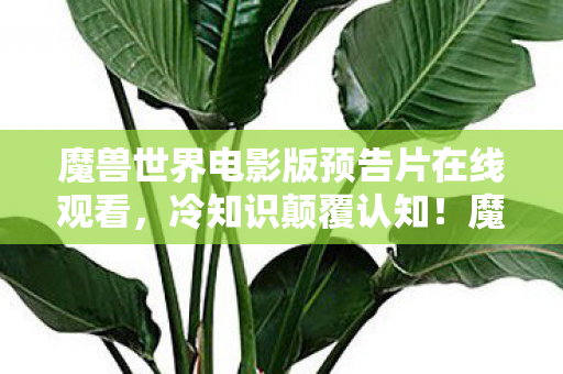魔兽世界电影版预告片在线观看,冷知识颠覆认知!魔兽电影预告片里藏着让老玩家目瞪口呆的真相 魔兽世界电影版预告片在线观看,冷知识颠覆认知!魔兽电影预告片里藏着让老玩家目瞪口呆的真相