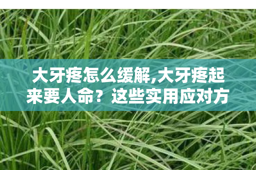 大牙疼怎么缓解,大牙疼起来要人命?这些实用应对方法帮你少遭罪 大牙疼怎么缓解,大牙疼起来要人命?这些实用应对方法帮你少遭罪