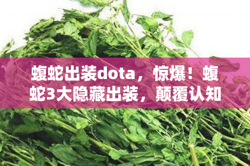蝮蛇出装dota,惊爆!蝮蛇3大隐藏出装,颠覆认知的致命杀招! 蝮蛇出装dota,惊爆!蝮蛇3大隐藏出装,颠覆认知的致命杀招!