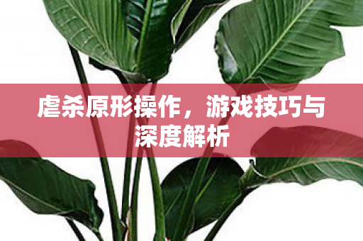 游戏技巧与深度解析图片