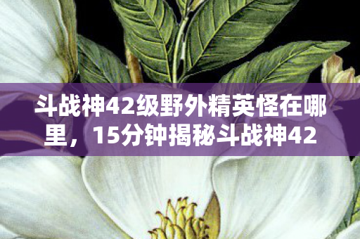斗战神42级野外精英怪在哪里，15分钟揭秘斗战神42级野外精英怪之谜，十年寻踪终泪目