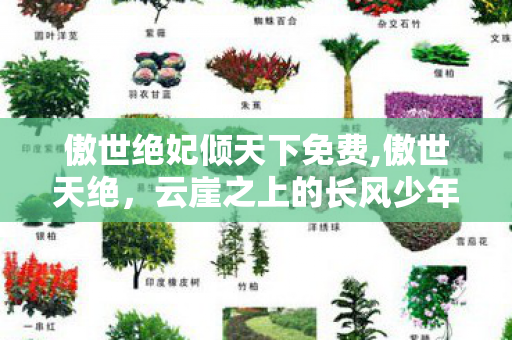 傲世绝妃倾天下免费,傲世天绝,云崖之上的长风少年 傲世绝妃倾天下免费,傲世天绝,云崖之上的长风少年