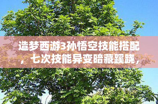造梦西游3孙悟空技能搭配,七次技能异变暗藏蹊跷,后背发凉才知被游戏玩了半生 造梦西游3孙悟空技能搭配,七次技能异变暗藏蹊跷,后背发凉才知被游戏玩了半生