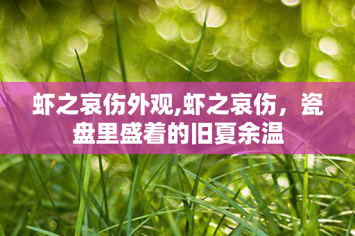 虾之哀伤外观,虾之哀伤,瓷盘里盛着的旧夏余温 虾之哀伤外观,虾之哀伤,瓷盘里盛着的旧夏余温