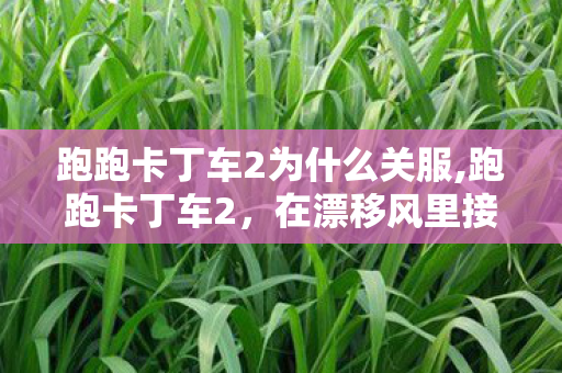 跑跑卡丁车2为什么关服,跑跑卡丁车2,在漂移风里接住一代人的青春回响 跑跑卡丁车2为什么关服,跑跑卡丁车2,在漂移风里接住一代人的青春回响