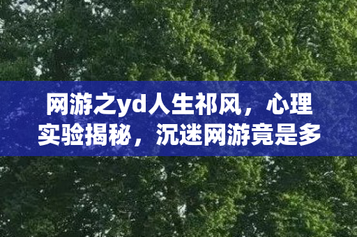 网游之yd人生祁风,心理实验揭秘,沉迷网游竟是多巴胺陷阱?细思极恐的脑控真相 网游之yd人生祁风,心理实验揭秘,沉迷网游竟是多巴胺陷阱?细思极恐的脑控真相