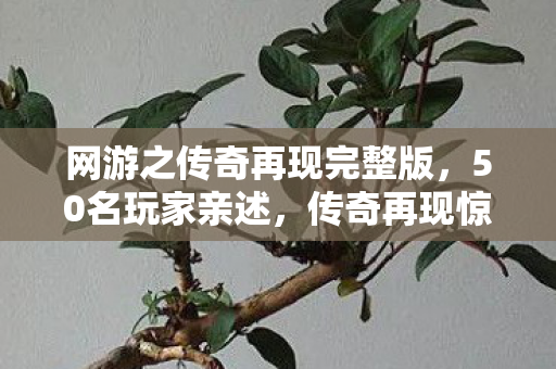 网游之传奇再现完整版,50名玩家亲述,传奇再现惊现数据穿越疑云?网吧大神听完直接绷不住了! 网游之传奇再现完整版,50名玩家亲述,传奇再现惊现数据穿越疑云?网吧大神听完直接绷不住了!