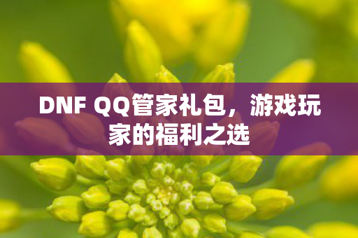 DNF QQ管家礼包图片