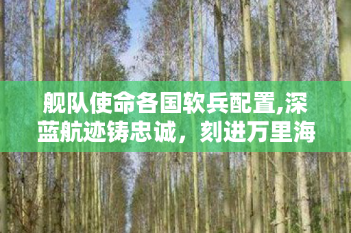 舰队使命各国软兵配置,深蓝航迹铸忠诚,刻进万里海疆的舰队使命 舰队使命各国软兵配置,深蓝航迹铸忠诚,刻进万里海疆的舰队使命