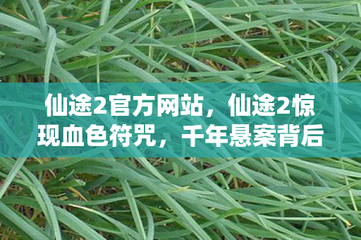 仙途2官方网站,仙途2惊现血色符咒,千年悬案背后,谁在暗夜中低语毛骨悚然真相? 仙途2官方网站,仙途2惊现血色符咒,千年悬案背后,谁在暗夜中低语毛骨悚然真相?