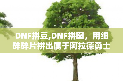 DNF拼豆,DNF拼图,用细碎碎片拼出属于阿拉德勇士的专属青春印记 DNF拼豆,DNF拼图,用细碎碎片拼出属于阿拉德勇士的专属青春印记