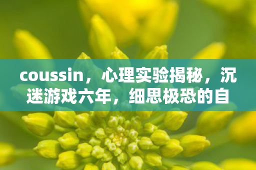 coussin,心理实验揭秘,沉迷游戏六年,细思极恐的自我麻醉之旅 coussin,心理实验揭秘,沉迷游戏六年,细思极恐的自我麻醉之旅