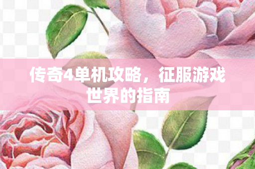 征服游戏世界的指南图片