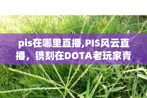 pis在哪里直播,PIS风云直播,镌刻在DOTA老玩家青春里的电竞印记 pis在哪里直播,PIS风云直播,镌刻在DOTA老玩家青春里的电竞印记