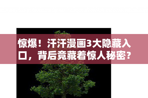 惊爆!汗汗漫画3大隐藏入口,背后竟藏着惊人秘密? 惊爆!汗汗漫画3大隐藏入口,背后竟藏着惊人秘密?