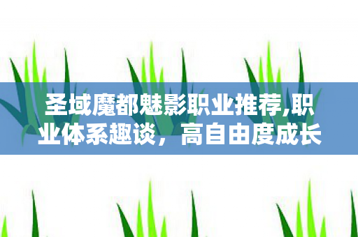 圣域魔都魅影职业推荐,职业体系趣谈,高自由度成长下的百变冒险体验 圣域魔都魅影职业推荐,职业体系趣谈,高自由度成长下的百变冒险体验