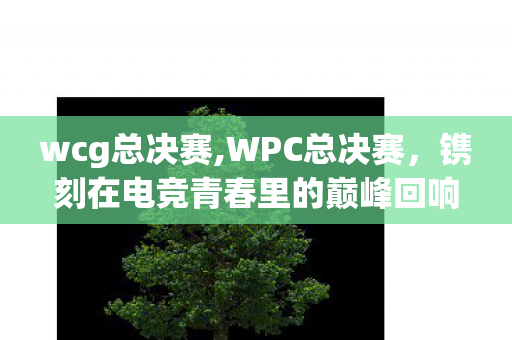 wcg总决赛,WPC总决赛,镌刻在电竞青春里的巅峰回响 wcg总决赛,WPC总决赛,镌刻在电竞青春里的巅峰回响