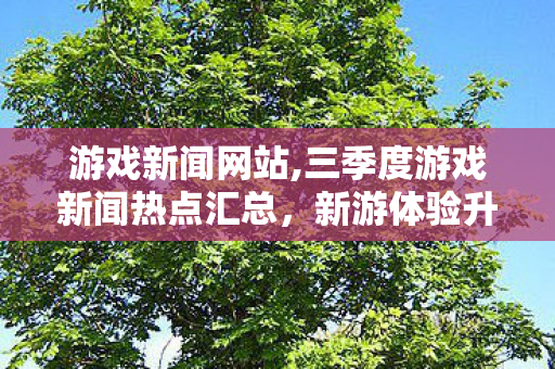 游戏新闻网站,三季度游戏新闻热点汇总,新游体验升级与赛事生态扩容成行业亮点 游戏新闻网站,三季度游戏新闻热点汇总,新游体验升级与赛事生态扩容成行业亮点