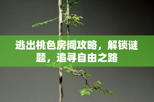 逃出桃色房间攻略图片