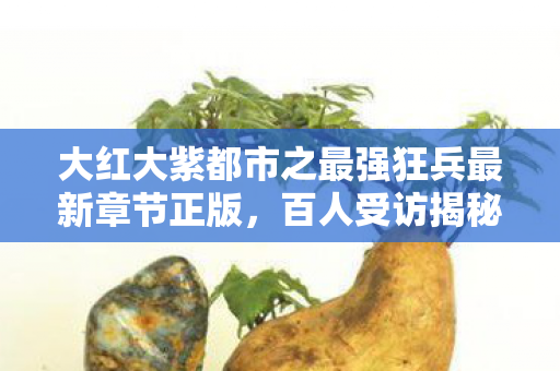 大红大紫都市之最强狂兵最新章节正版,百人受访揭秘大红大紫都市之最强狂兵最新章,疑点重重我绷不住了! 大红大紫都市之最强狂兵最新章节正版,百人受访揭秘大红大紫都市之最强狂兵最新章,疑点重重我绷不住了!