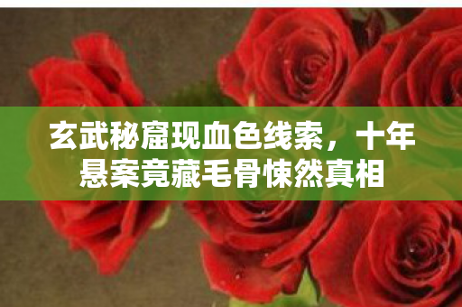 玄武秘窟现血色线索,十年悬案竟藏毛骨悚然真相 玄武秘窟现血色线索,十年悬案竟藏毛骨悚然真相