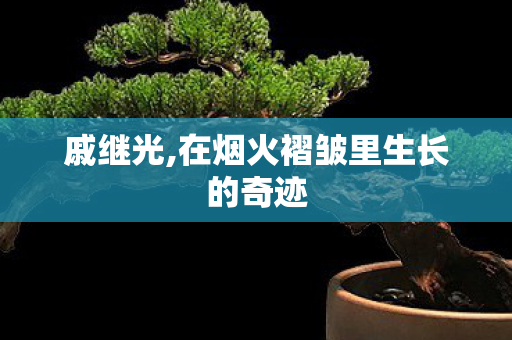 戚继光,在烟火褶皱里生长的奇迹 戚继光,在烟火褶皱里生长的奇迹