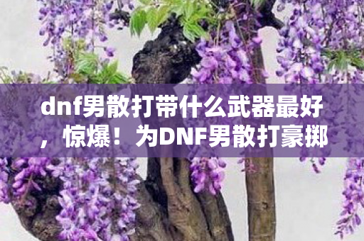 dnf男散打带什么武器最好,惊爆!为DNF男散打豪掷18万,老婆怒签离婚协议,我悔不当初! dnf男散打带什么武器最好,惊爆!为DNF男散打豪掷18万,老婆怒签离婚协议,我悔不当初!