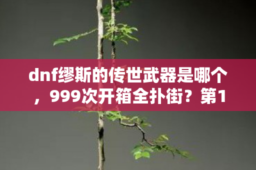 dnf缪斯的传世武器是哪个,999次开箱全扑街?第1000次竟爆出克雷泽终极神装! dnf缪斯的传世武器是哪个,999次开箱全扑街?第1000次竟爆出克雷泽终极神装!