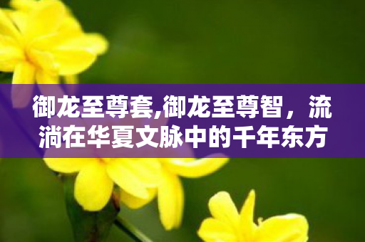 御龙至尊套,御龙至尊智,流淌在华夏文脉中的千年东方生存智慧 御龙至尊套,御龙至尊智,流淌在华夏文脉中的千年东方生存智慧