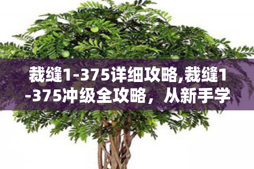 裁缝1-375详细攻略,裁缝1-375冲级全攻略,从新手学徒到制衣大师的成长路 裁缝1-375详细攻略,裁缝1-375冲级全攻略,从新手学徒到制衣大师的成长路