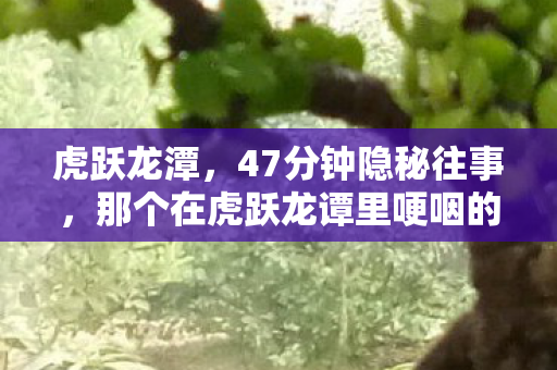 虎跃龙潭,47分钟隐秘往事,那个在虎跃龙谭里哽咽的通宵夜 虎跃龙潭,47分钟隐秘往事,那个在虎跃龙谭里哽咽的通宵夜