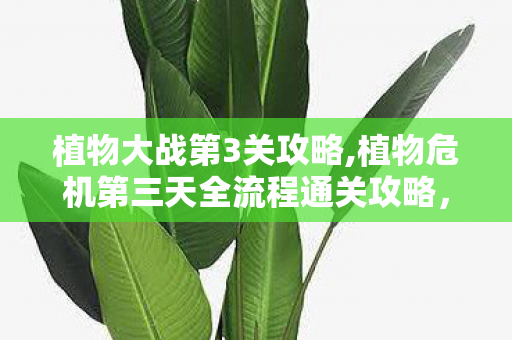 植物大战第3关攻略,植物危机第三天全流程通关攻略,资源调配与防线搭建核心要点 植物大战第3关攻略,植物危机第三天全流程通关攻略,资源调配与防线搭建核心要点