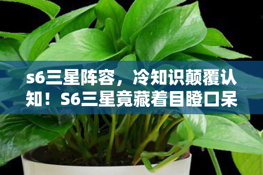 s6三星阵容,冷知识颠覆认知!S6三星竟藏着目瞪口呆的十年谎言 s6三星阵容,冷知识颠覆认知!S6三星竟藏着目瞪口呆的十年谎言