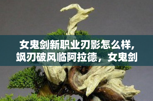 女鬼剑新职业刃影怎么样,飒刃破风临阿拉德,女鬼剑全新转职职业全前瞻 女鬼剑新职业刃影怎么样,飒刃破风临阿拉德,女鬼剑全新转职职业全前瞻