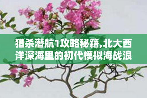 猎杀潜航1攻略秘籍,北大西洋深海里的初代模拟海战浪漫 猎杀潜航1攻略秘籍,北大西洋深海里的初代模拟海战浪漫
