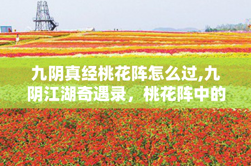 九阴真经桃花阵怎么过,九阴江湖奇遇录,桃花阵中的武林闲趣 九阴真经桃花阵怎么过,九阴江湖奇遇录,桃花阵中的武林闲趣