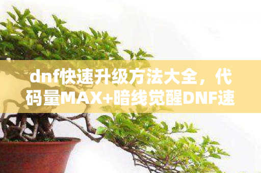 dnf快速升级方法大全，代码量MAX+暗线觉醒DNF速升300级？我的头皮发麻数字人生已通关！
