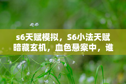 s6天赋模拟,S6小法天赋暗藏玄机,血色悬案中,谁才是真正的自戕者? s6天赋模拟,S6小法天赋暗藏玄机,血色悬案中,谁才是真正的自戕者?