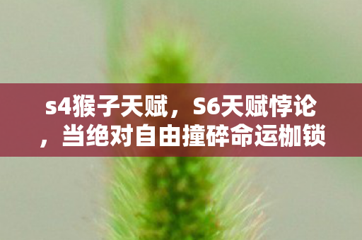 s4猴子天赋,S6天赋悖论,当绝对自由撞碎命运枷锁,灵魂震颤的终极审判 s4猴子天赋,S6天赋悖论,当绝对自由撞碎命运枷锁,灵魂震颤的终极审判