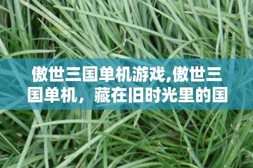 傲世三国单机游戏,傲世三国单机，藏在旧时光里的国产RTS荣光