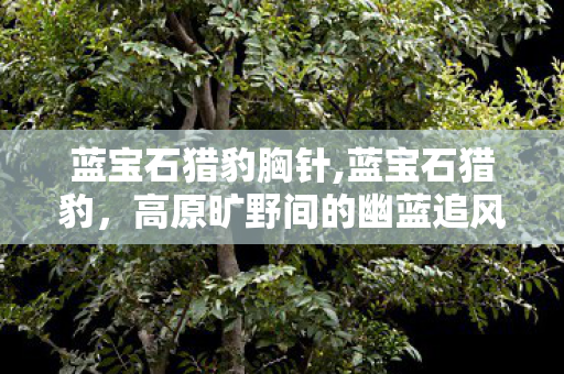 蓝宝石猎豹胸针,蓝宝石猎豹，高原旷野间的幽蓝追风者