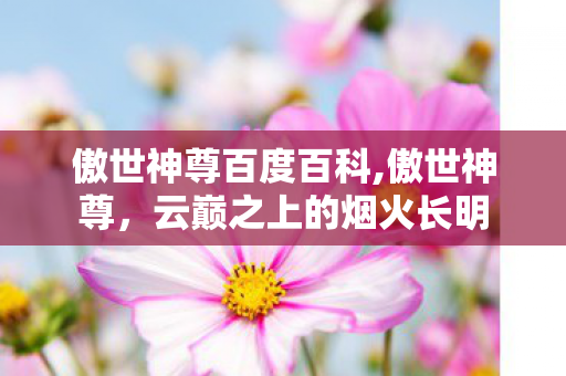 傲世神尊百度百科,傲世神尊,云巅之上的烟火长明 傲世神尊百度百科,傲世神尊,云巅之上的烟火长明
