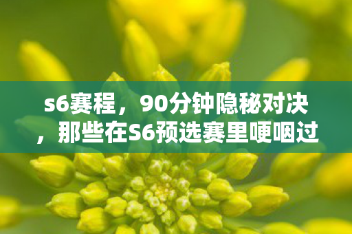s6赛程，90分钟隐秘对决，那些在S6预选赛里哽咽过的通宵