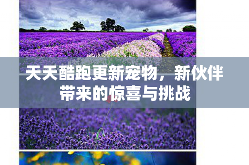 新伙伴带来的惊喜与挑战图片