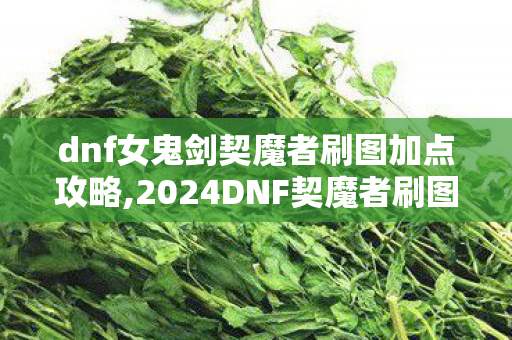 dnf女鬼剑契魔者刷图加点攻略,2024DNF契魔者刷图加点全指南，适配全副本的高伤输出方案