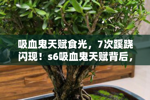 吸血鬼天赋食光,7次蹊跷闪现!s6吸血鬼天赋背后,竟藏着让玩家后背发凉的真相 吸血鬼天赋食光,7次蹊跷闪现!s6吸血鬼天赋背后,竟藏着让玩家后背发凉的真相