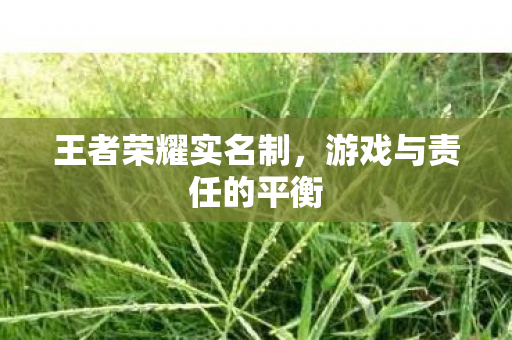 游戏与责任的平衡图片