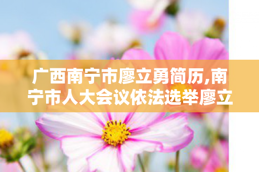 广西南宁市廖立勇简历,南宁市人大会议依法选举廖立勇为市人民政府市长